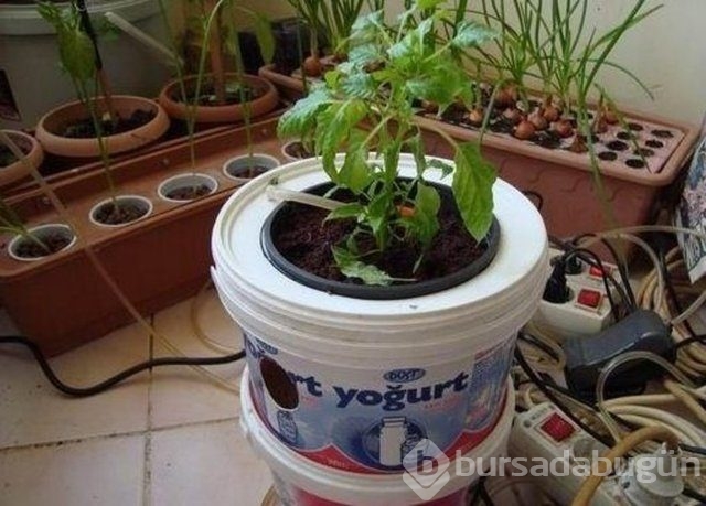 Bir zamanlar herkesin evinde vardı