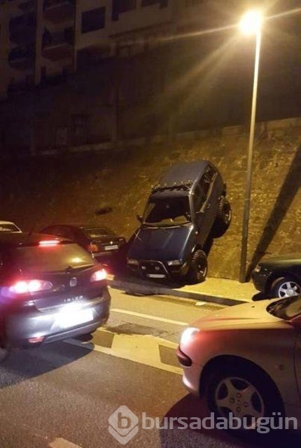 İnternetin fenomen kareleri