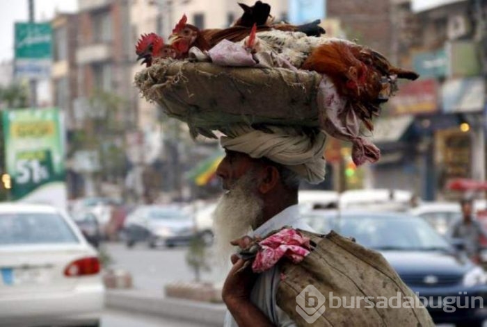 İşte sadece Hindistan'da göreceğiniz manzaralar