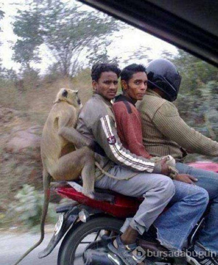 İşte sadece Hindistan'da göreceğiniz manzaralar