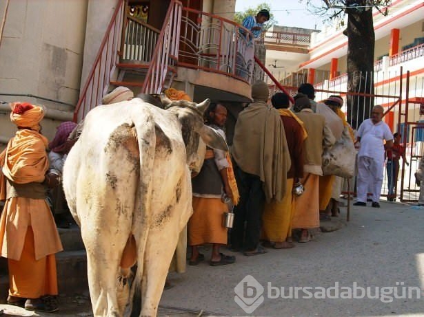 İşte sadece Hindistan'da göreceğiniz manzaralar