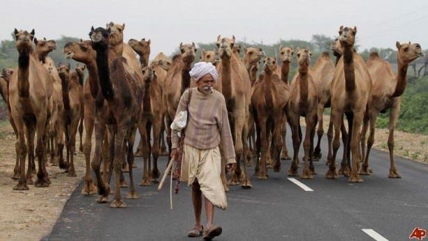 İşte sadece Hindistan'da göreceğiniz manzaralar
