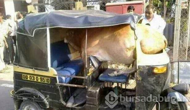 İşte sadece Hindistan'da göreceğiniz manzaralar