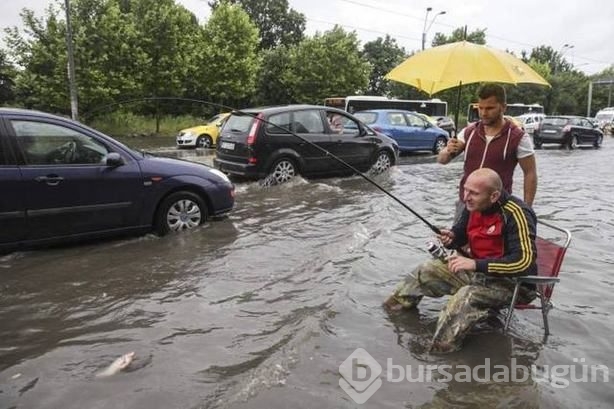 Günün ilginç kareleri