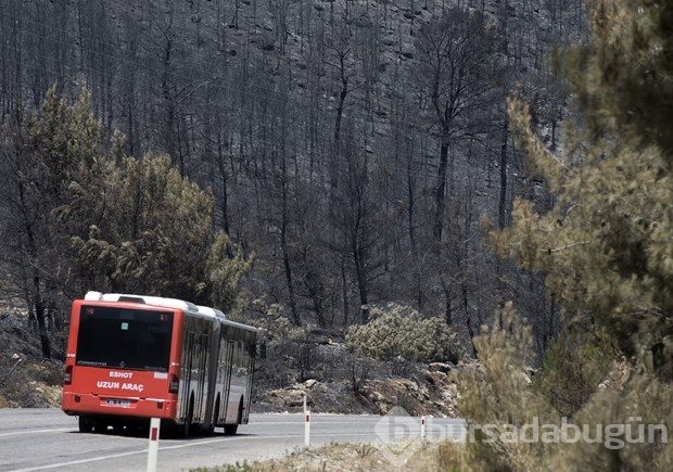 İzmir'de yangından geriye kalanlar