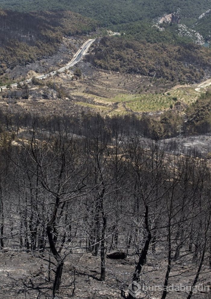 İzmir'de yangından geriye kalanlar