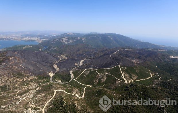 İzmir'de yangından geriye kalanlar