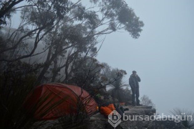 Sosyal medyada yeni kabus!