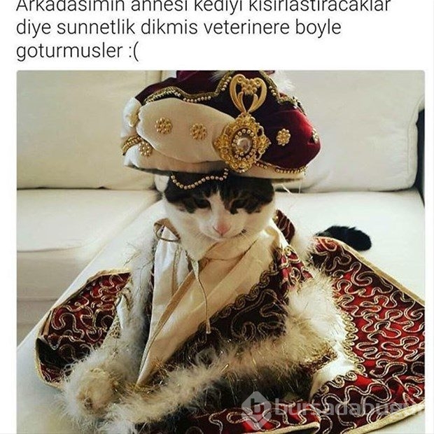 İnterneti sallayan Cezmi Kalorifer paylaşımları