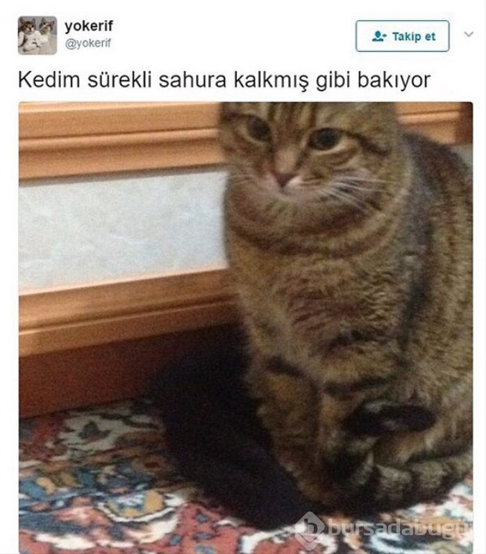 İnterneti sallayan Cezmi Kalorifer paylaşımları