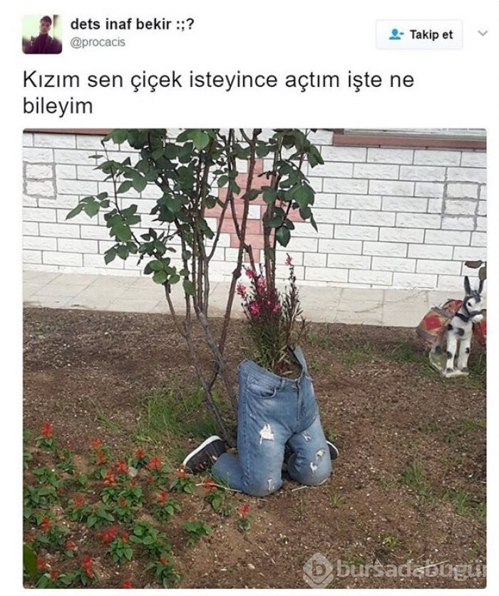 İnterneti sallayan Cezmi Kalorifer paylaşımları