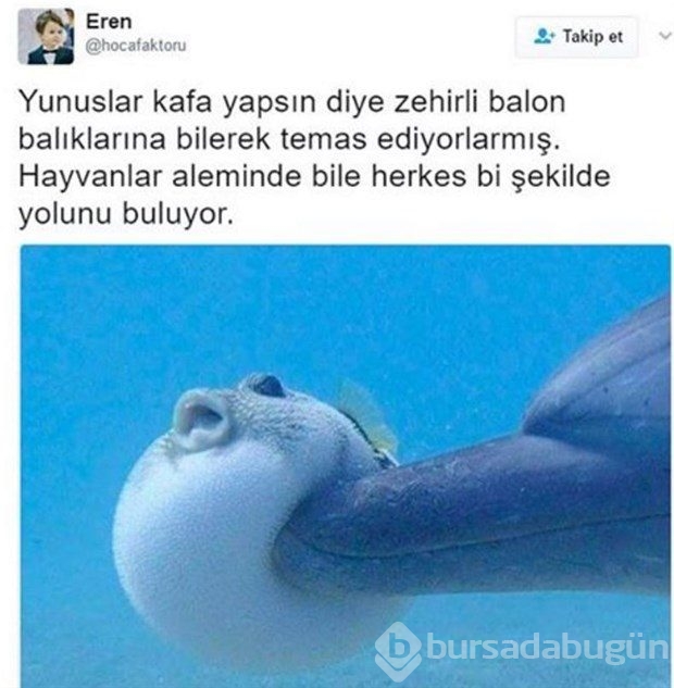 Sizi güldürecek tweetler