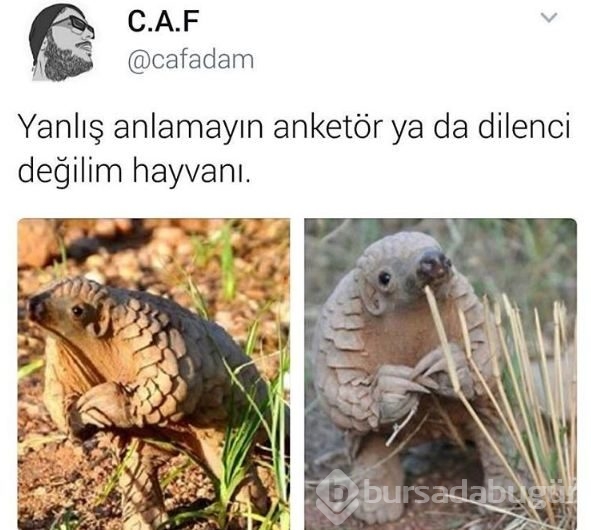Sizi güldürecek tweetler
