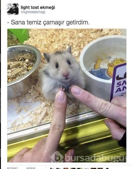 Sizi güldürecek tweetler