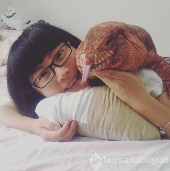 Instagram'da fenomen kertenkele rüzgarı gören inanamıyor