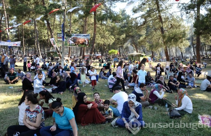 Bursa Karagöz Şenliği'nde ünlü sanatçılar binlerce kişiyi coşturdu	
