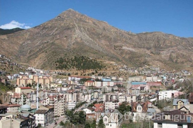 Hangi şehirler hangi takımı tutuyor?
