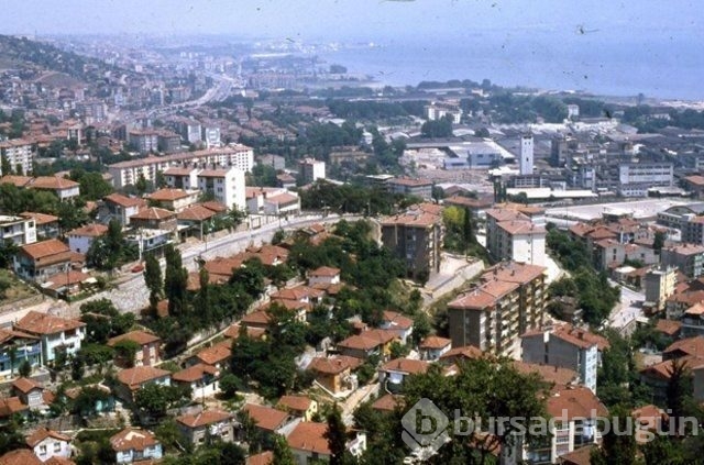 Hangi şehirler hangi takımı tutuyor?