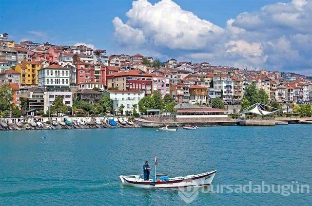 Hangi şehirler hangi takımı tutuyor?
