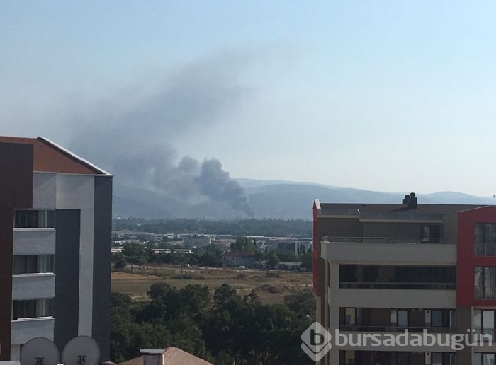 Bursa'da boya fabrikasında yangın çıktı!	