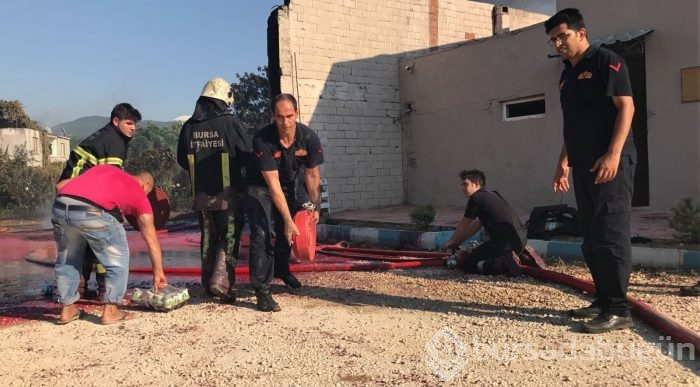 Bursa'da boya fabrikasında yangın çıktı!	