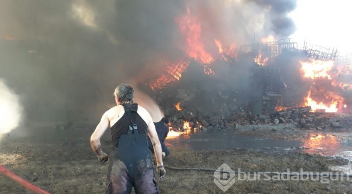 Bursa'da boya fabrikasında yangın çıktı!	