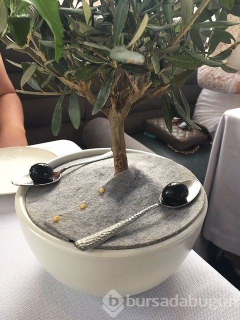 Restoranların düşündüren sunum çılgınlığı