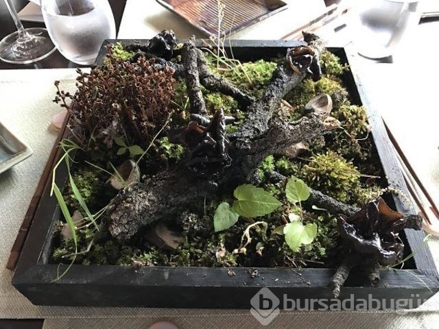 Restoranların düşündüren sunum çılgınlığı
