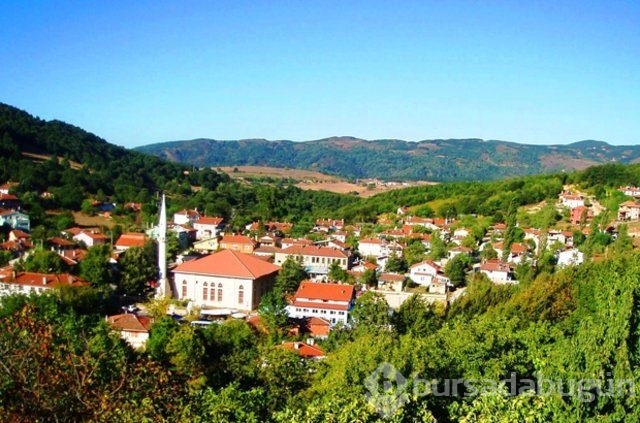 Türkiye'nin en mutlu illeri