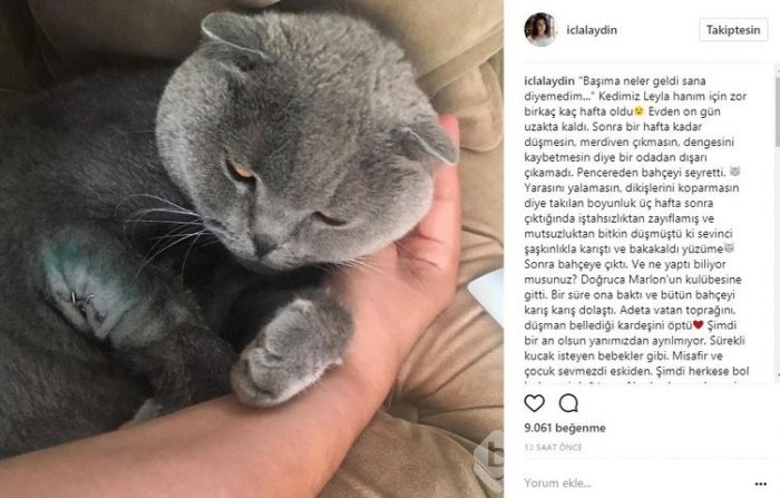 Ünlü isimlerin Instagram paylaşımları (11.07.2017)