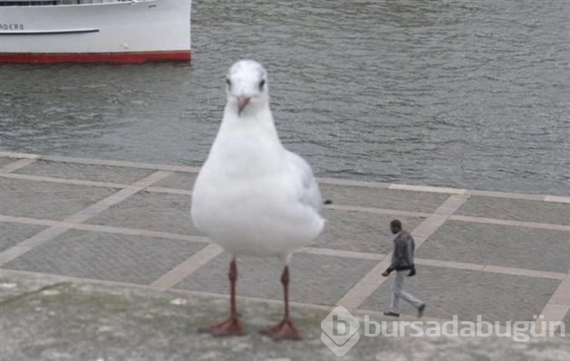 Dönüp tekrar bakmak isteyeceğiniz fotoğraflar