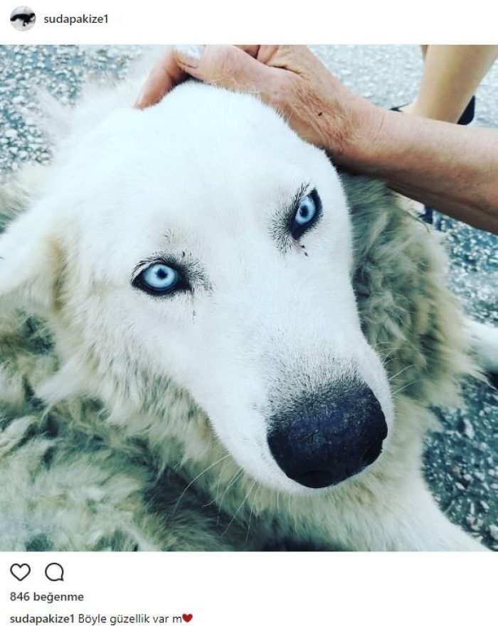 Ünlü isimlerin Instagram paylaşımları (12.07.2017)