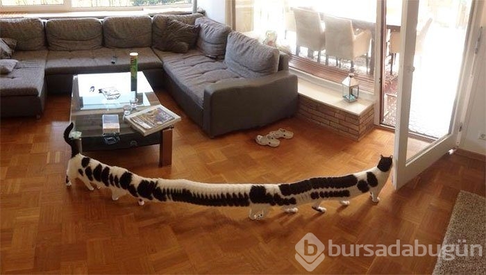 En başarısız panoramik fotoğraflar