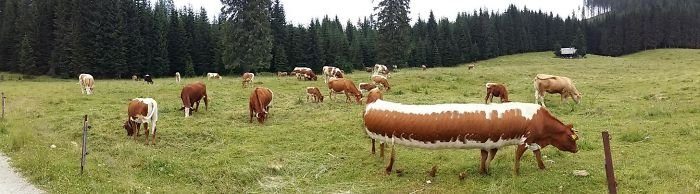 En başarısız panoramik fotoğraflar