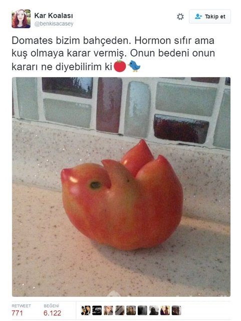 İşte en komik tweetler