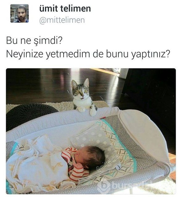 İşte en komik tweetler