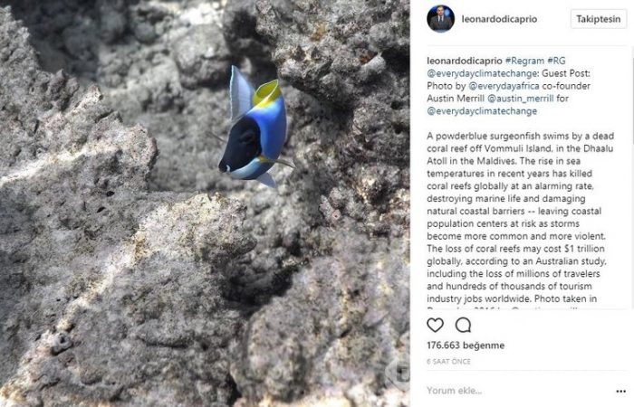 Ünlü isimlerin Instagram paylaşımları (14.07.2017)