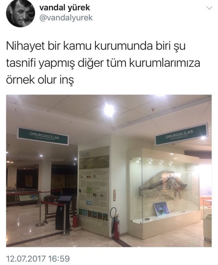 İnterneti sallayan paylaşımlar 