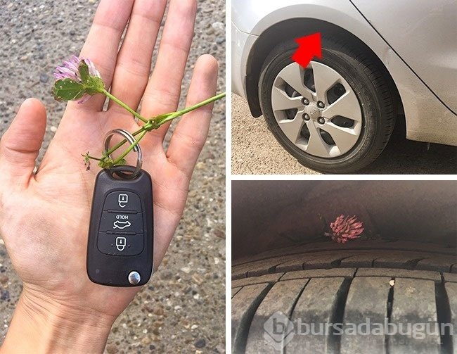 Tatiliniz için hayat kurtaracak 12 ipucu