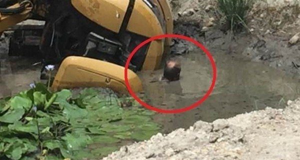 Bu kazalardan nasıl sağ kurtulduklarına kimse inanamıyor!