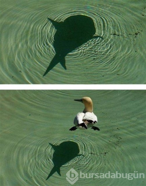 O fotoğraflar böyle çekiliyor!