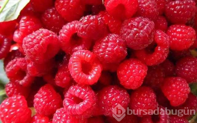 Ahududunun bilinmeyen yararları