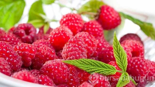 Ahududunun bilinmeyen yararları