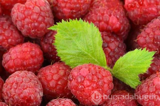 Ahududunun bilinmeyen yararları
