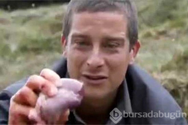 Hepsi bir kurmaca mı?