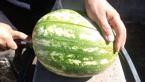 Erimiş bakırı karpuza dökünce bakın neler oldu