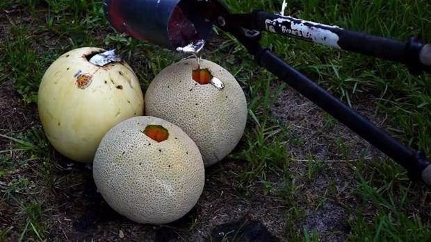 Erimiş bakırı karpuza dökünce bakın neler oldu