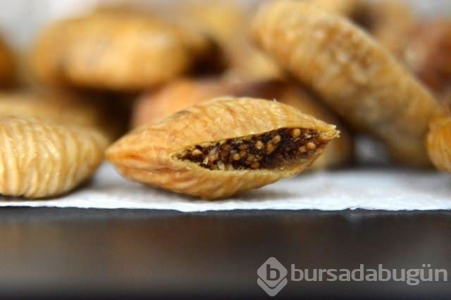 Türkiye'de en çok kazandıran meslekler