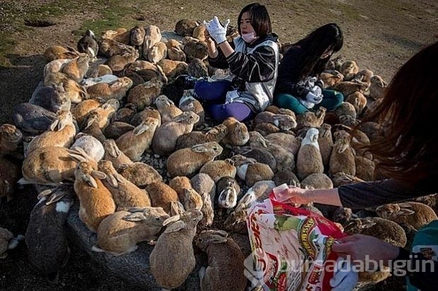 İlginçlikler ülkesi: Japonya