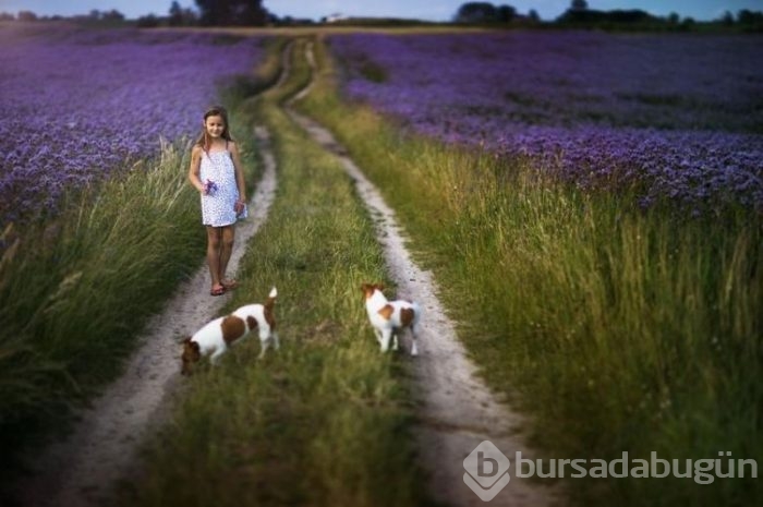 Çocuklarıyla teknolojiden uzak bir tatil geçirip fotoğrafladı